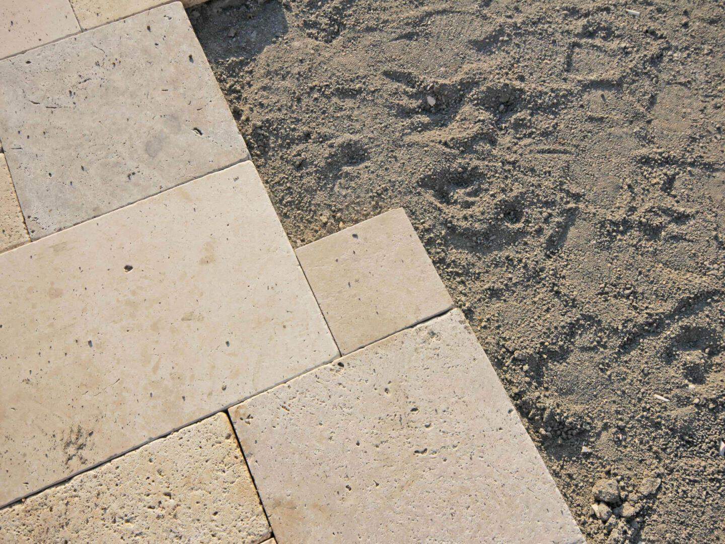 A close up of the ground and tiles on the floor